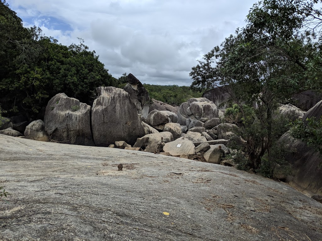 Granite Creek Gorge Wallabies | park | 332 Paglietta Rd, Chewko QLD 4880, Australia | 0740932259 OR +61 7 4093 2259