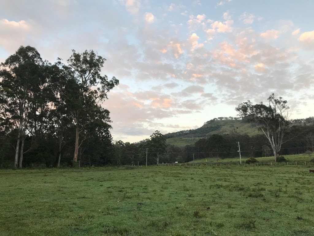 Stonefox Ranch | 302 & 324 Flying Fox Rd, Canungra QLD 4275, Australia | Phone: 0438 135 138