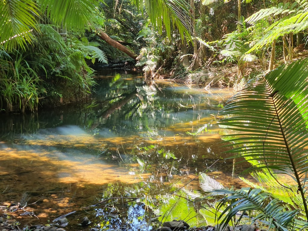 Laceys Creek Day Use Area | park | Djiru QLD 4852, Australia