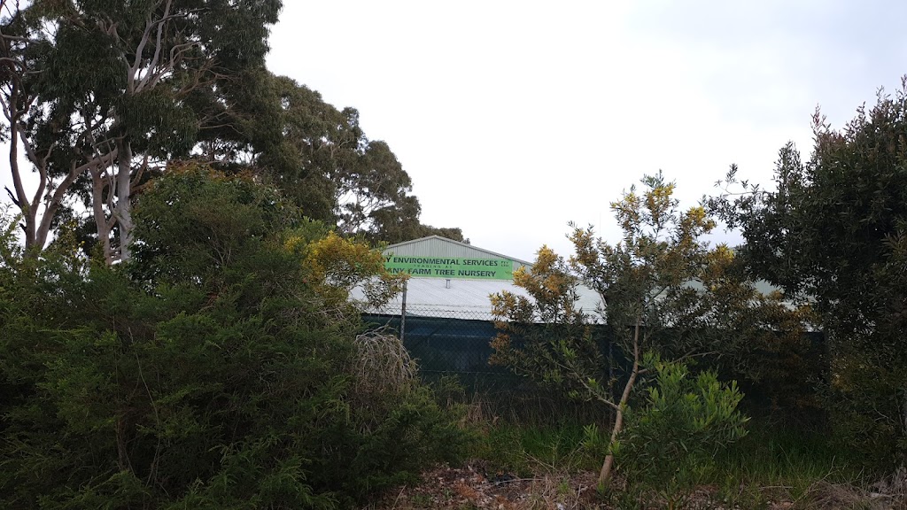 Albany Farm Tree Nursery | Lot 43 Stirling St, Robinson WA 6330, Australia | Phone: (08) 9841 8379