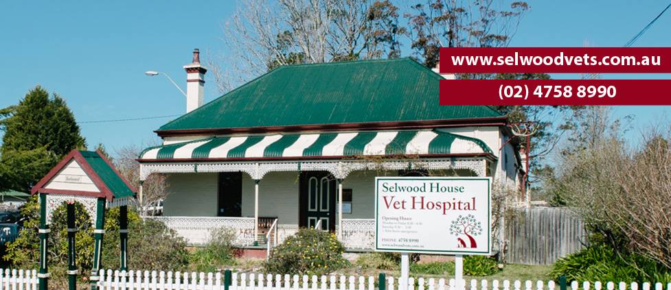 Selwood House Vet Hospital | 41 Railway Parade, Hazelbrook NSW 2779, Australia | Phone: (02) 4758 8990