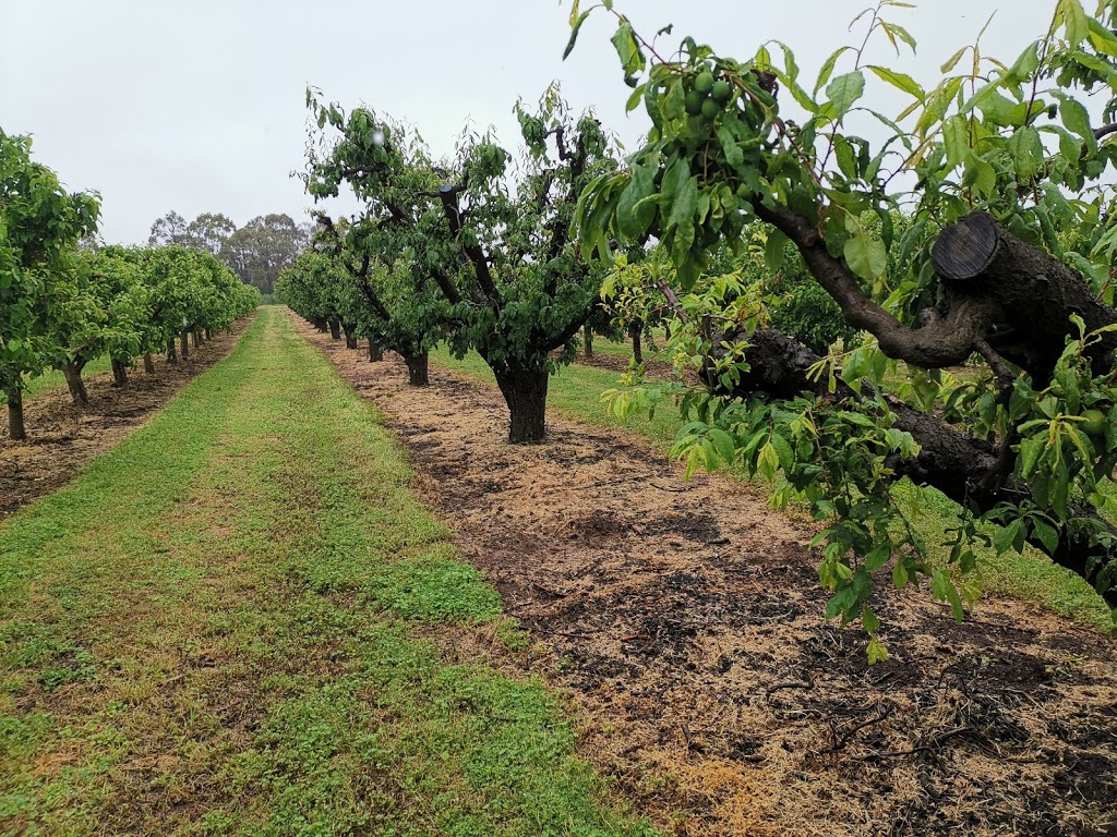 Hillside Harvest | 1209 The Escort Way, Borenore NSW 2800, Australia | Phone: (02) 6365 2247