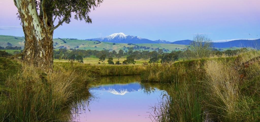 District Property Group - Mansfield | 30D High St, Mansfield VIC 3722, Australia | Phone: 1300 222 262
