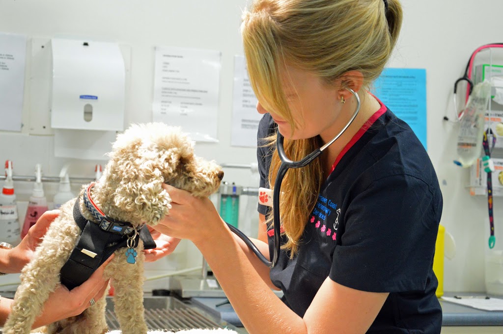 Fraser Coast Veterinary Services | veterinary care | 208 Walker St, Maryboroug QLD 4650, Australia | 0741231570 OR +61 7 4123 1570