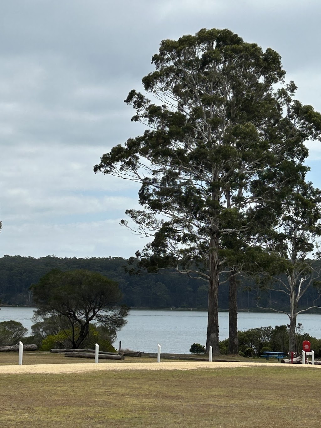 Jigamy Campground | 4381 Princes Hwy, Broadwater NSW 2549, Australia | Phone: (02) 6495 6343