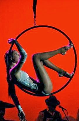 Aerialize - Circus and Aerial training & Performance | gym | 7/9 Close St, Canterbury NSW 2193, Australia | 0289646135 OR +61 2 8964 6135