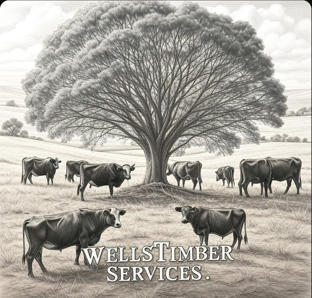 Wells Timber Services | Sailors Gully Rd, Morrisons VIC 3334, Australia | Phone: 0420 762 336