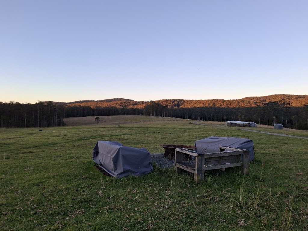 Lucky Stars Sanctuary | 167 Herivels Rd, Wootton NSW 2423, Australia | Phone: 0477 213 385