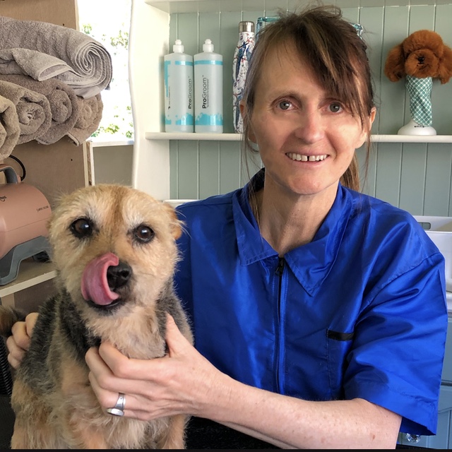 Loving Touch Dog Grooming |  | 38 Jagera Dr, Bellingen NSW 2454, Australia | 0421987183 OR +61 421 987 183