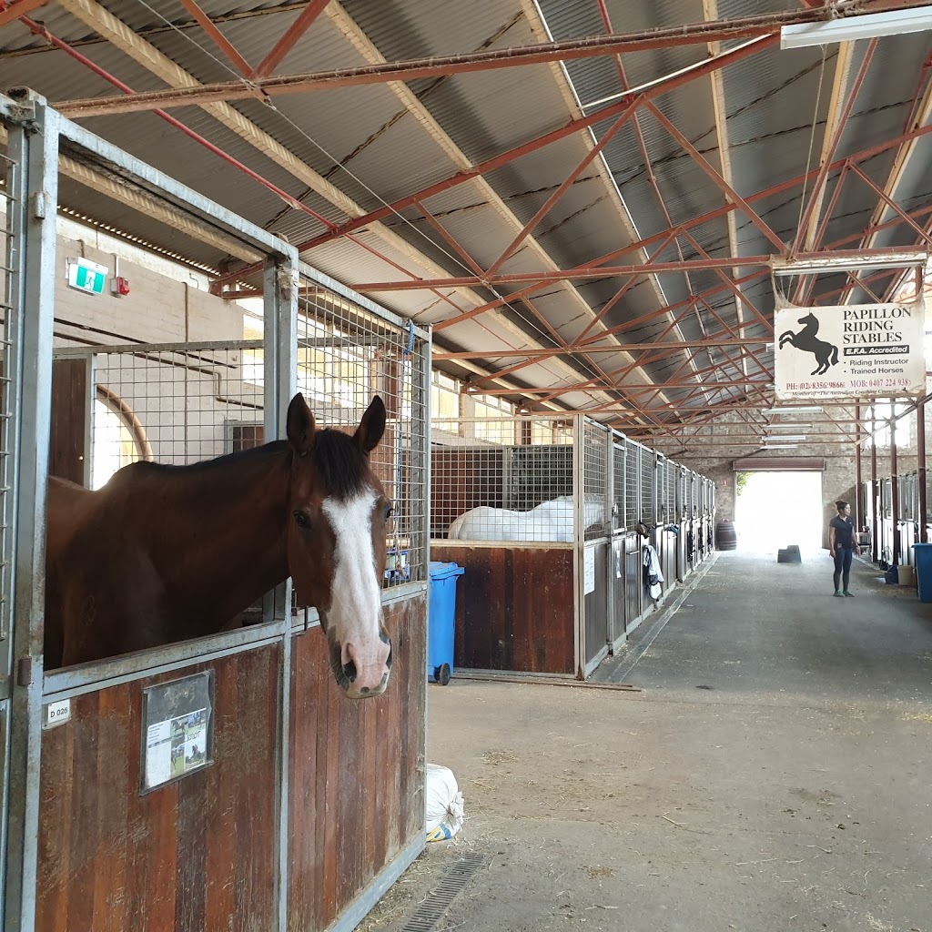 Centennial Parklands Equestrian Centre | 114-120 Lang Rd, Moore Park NSW 2021, Australia | Phone: (02) 9332 2809