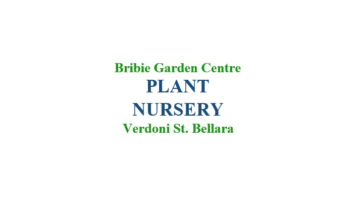 Bribie Garden Centre | 50 Verdoni St, Bellara QLD 4507, Australia | Phone: 0435 007 751