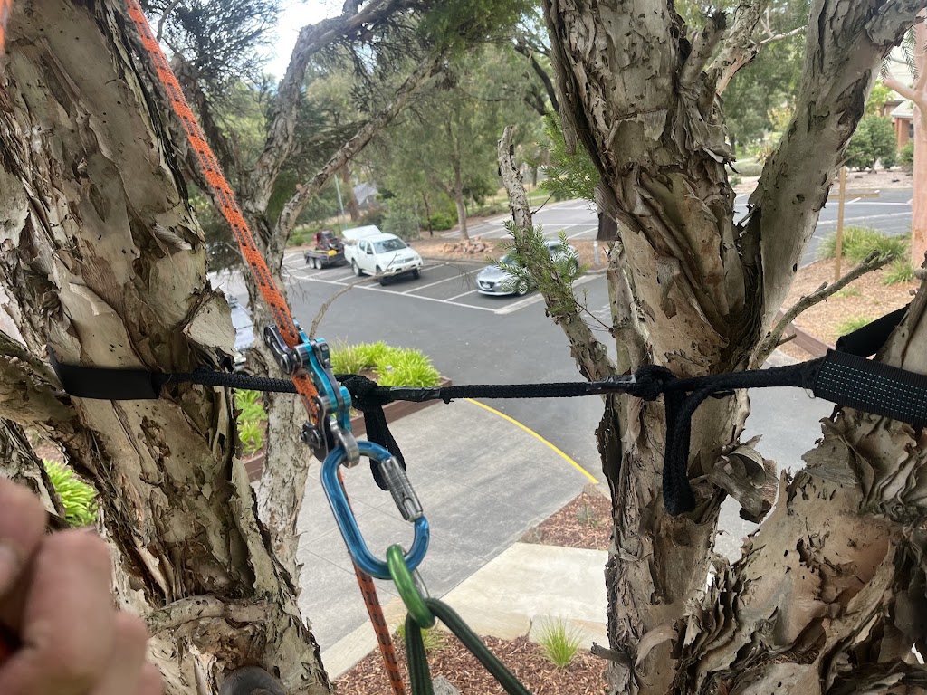 Bunyip Tree Solutions | 23 Doran Rd, Bunyip VIC 3815, Australia | Phone: 0421 286 983
