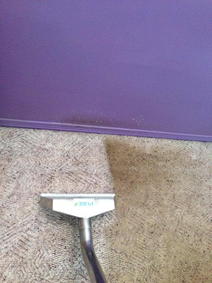 Pure Carpet & Tile Cleaning | 30 Maguire St, Andergrove QLD 4740, Australia | Phone: 0417 786 907