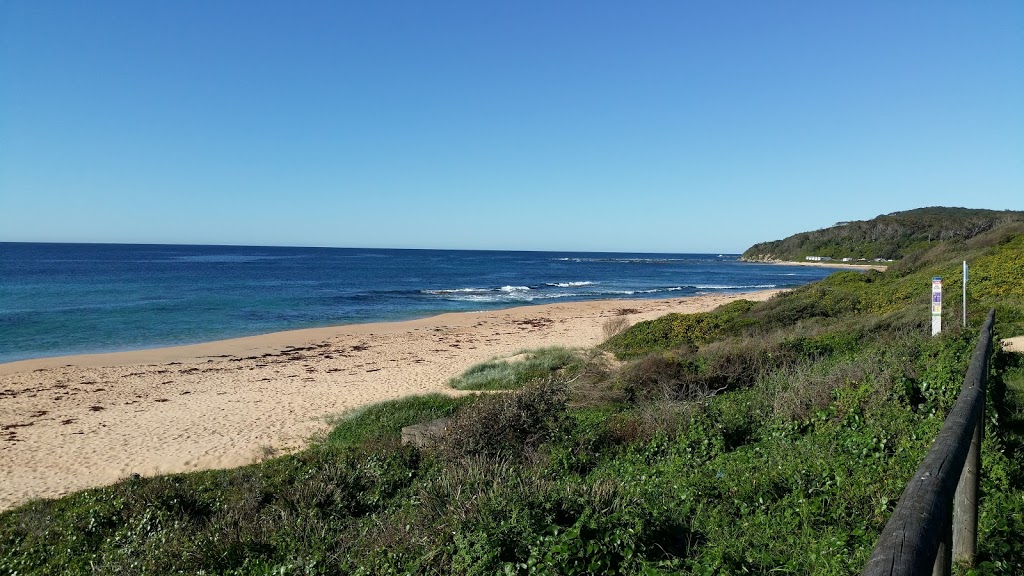 Naomi Honey Reserve | Shelly Beach NSW 2261, Australia