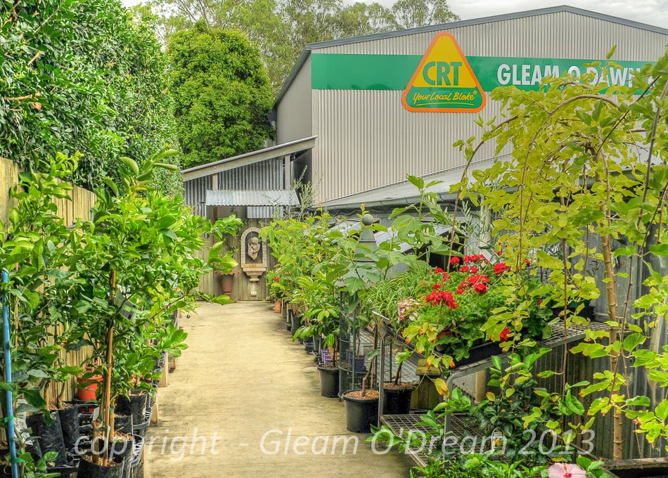 Gleam O Dawn Rural Store | park | 230 Mount Glorious Rd, Samford Valley QLD 4520, Australia | 0732891699 OR +61 7 3289 1699