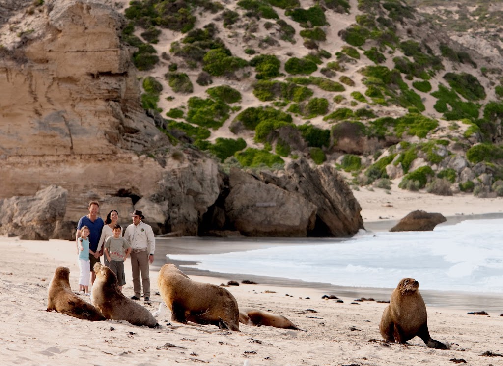 Kangaroo Island Trails | 1 Bay Terrace, Penneshaw SA 5222, Australia | Phone: 0458 471 419