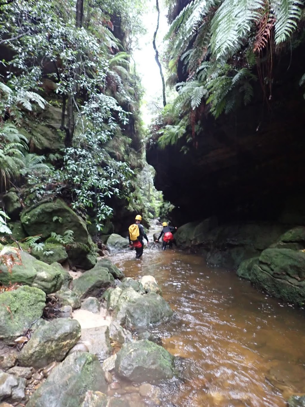 High and Wild | 207 Katoomba St, Katoomba NSW 2780, Australia | Phone: (02) 4782 6224