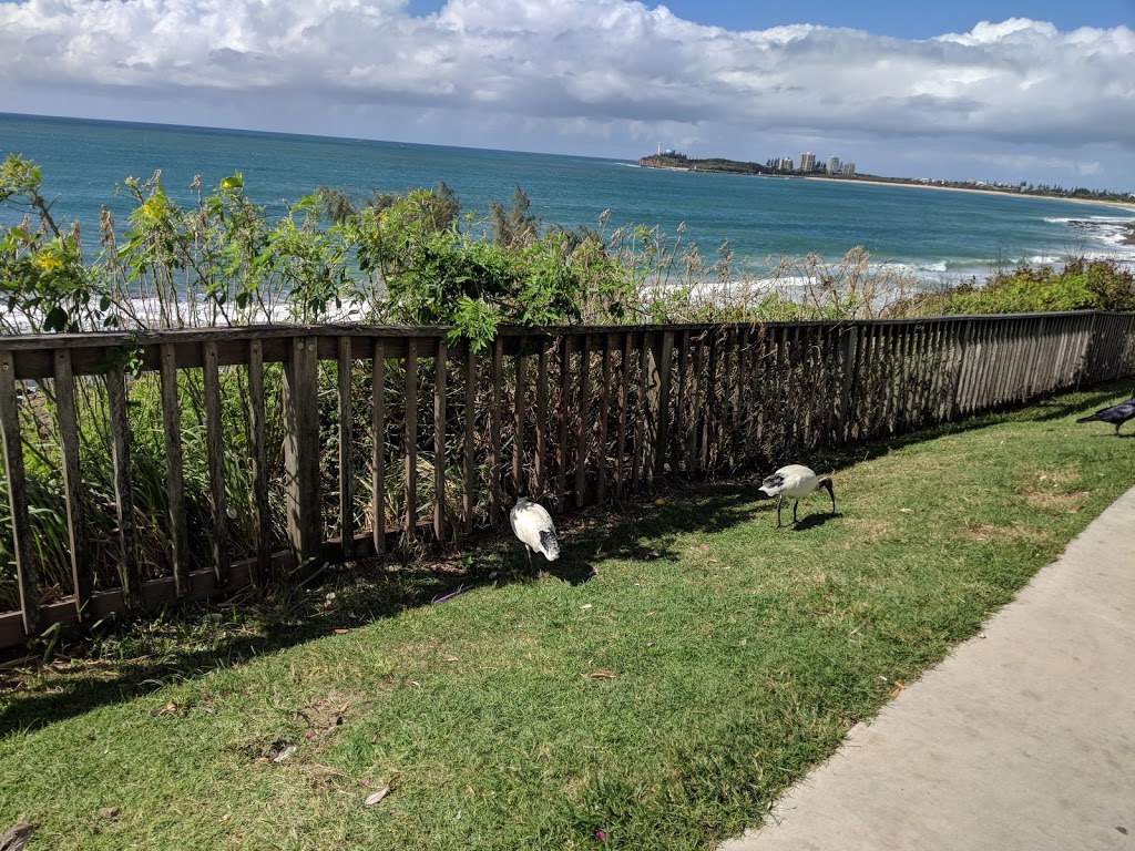 Alex Bluff Foreshore Park | park | 278 Alexandra Parade, Alexandra Headland QLD 4572, Australia