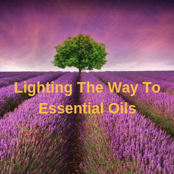 Lighting The Way To Essential Oils | 10 Irvine Cres, Frankston VIC 3199, Australia | Phone: 0412 377 948