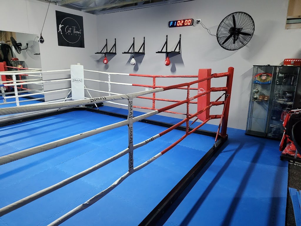 Cut Throat Boxing and Fitness | 6 Oakleaf Pl, Millingandi NSW 2549, Australia | Phone: 0487 765 034