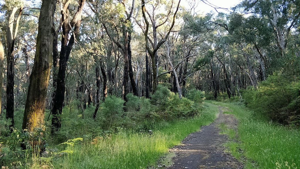 Main Ridge Nature Conservation Reserve | park | 71/79 Barkers Rd, Flinders VIC 3929, Australia | 131963 OR +61 131963