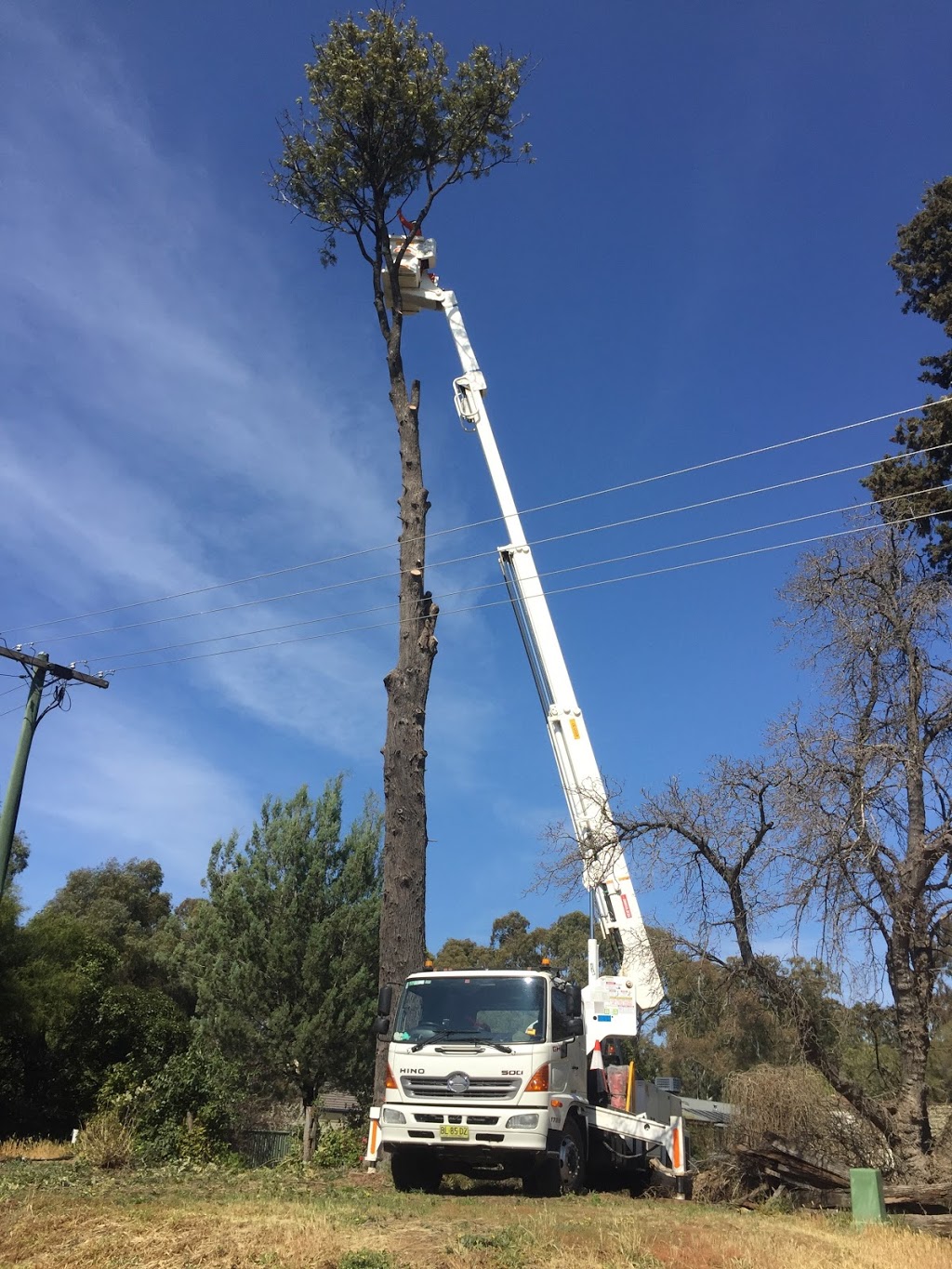 Murray River Tree Services | Pasley St, Bundalong VIC 3730, Australia | Phone: 0437 799 837