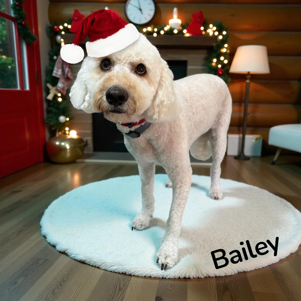 Scrub Woofers Dog Grooming | 4 Penelope Dr, Cornubia QLD 4130, Australia | Phone: 0449 796 654