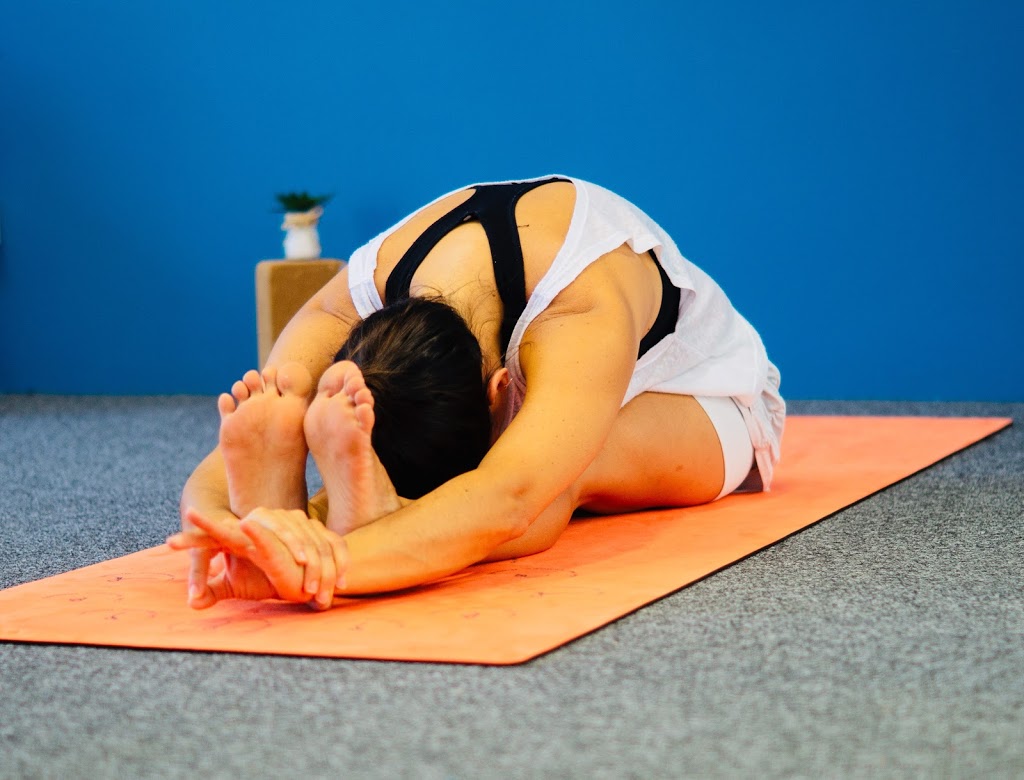 Fluid Yoga | gym | 3/23 Premier Cct, Warana QLD 4575, Australia | 0449949323 OR +61 449 949 323