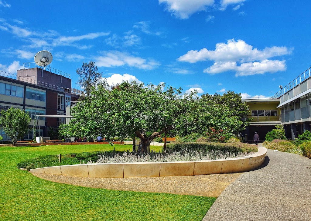 Monash University Clayton Campus | university | Wellington Rd, Clayton VIC 3800, Australia | 0399054000 OR +61 3 9905 4000