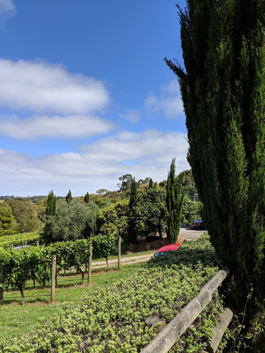 Morning Sun Vineyard | 337 Main Creek Rd, Main Ridge VIC 3928, Australia | Phone: (03) 5989 6571