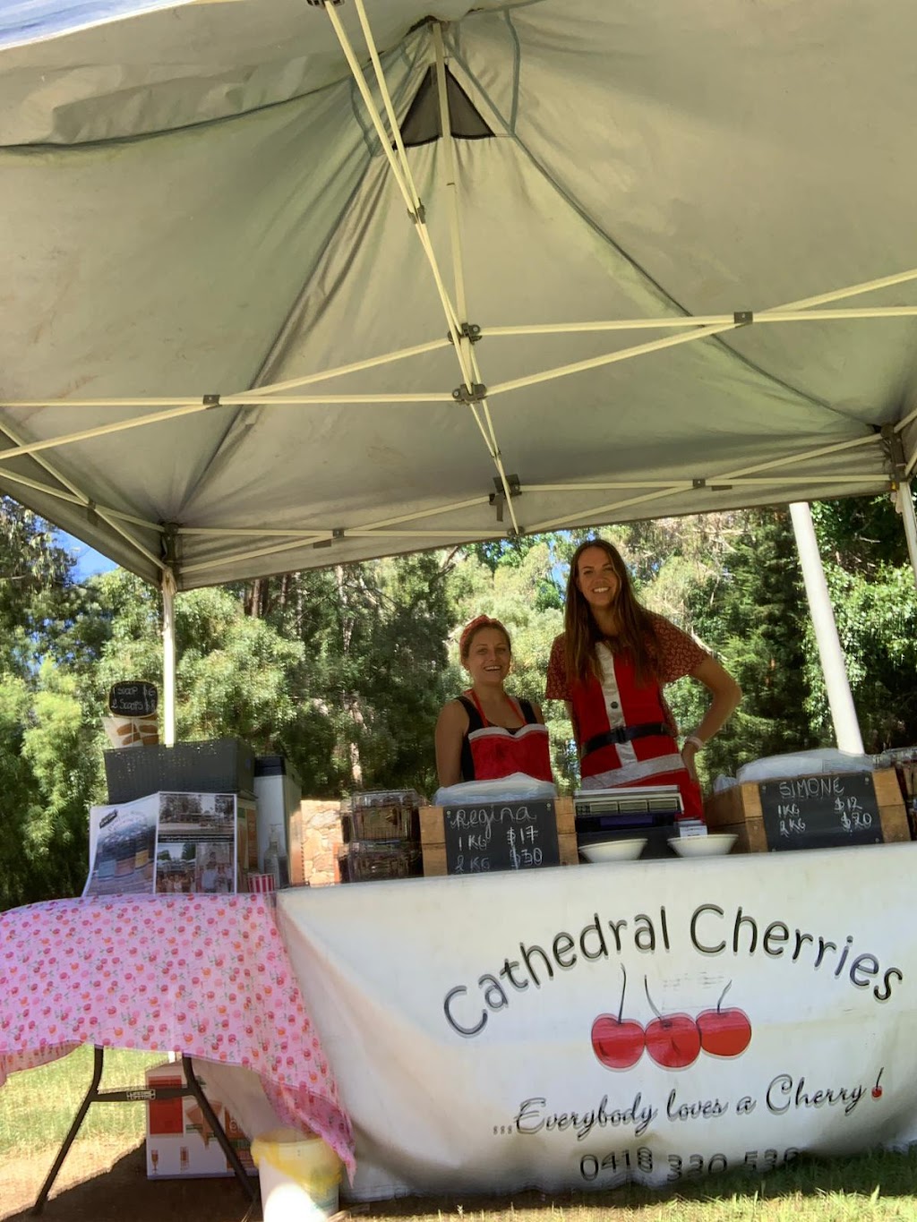 Cathedral Cherries | bar | 1 Yellow Creek Rd, Taggerty VIC 3714, Australia | 0457466345 OR +61 457 466 345