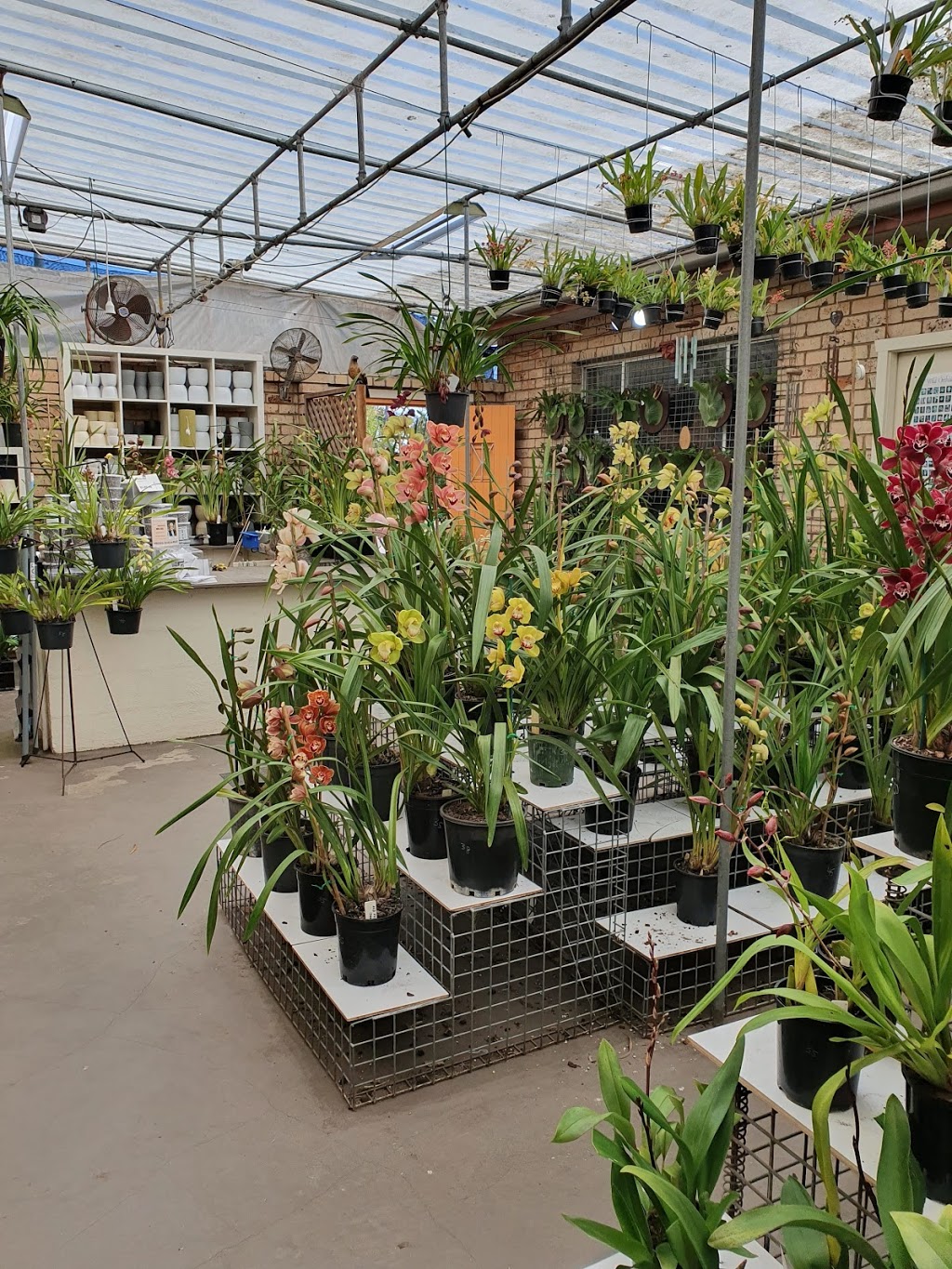 The Orchid Place |  | 1399 Princes Hwy, Heathcote NSW 2233, Australia | 0295204830 OR +61 2 9520 4830