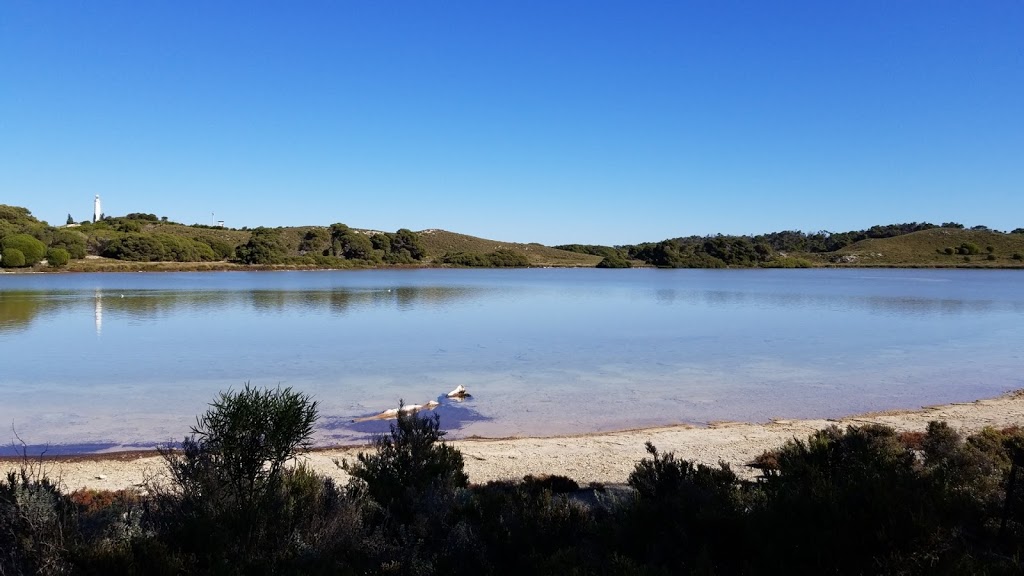 Pink Lake | Australia, Western Australia, Rottnest Island, pink lake、邮政编码: 6161