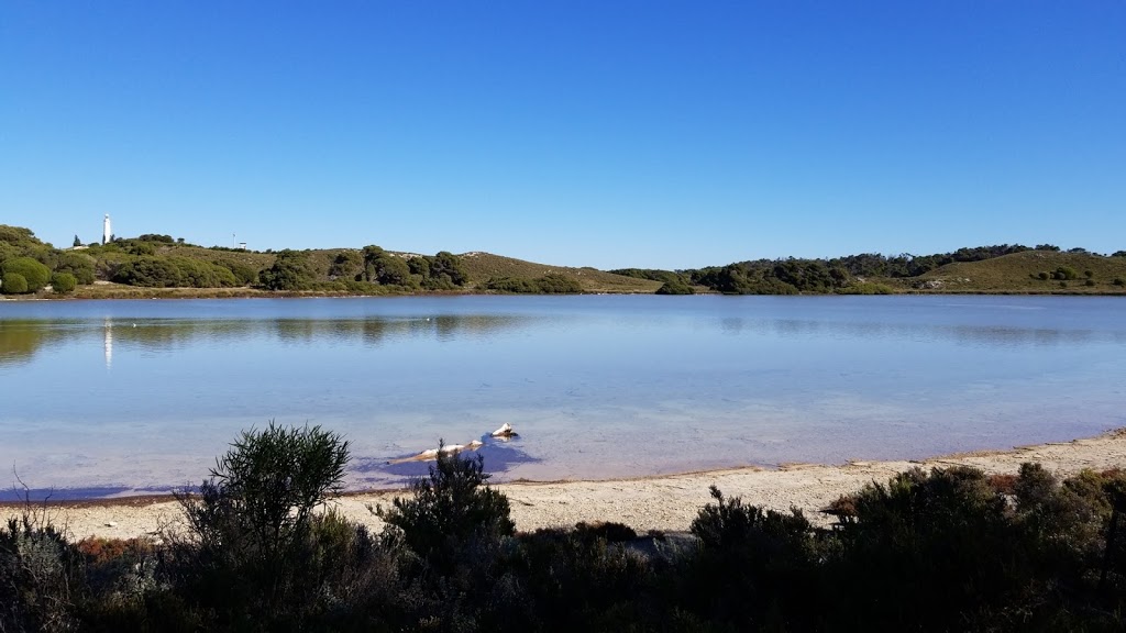 Pink Lake | park | Australia, Western Australia, Rottnest Island, pink lake、邮政编码: 6161