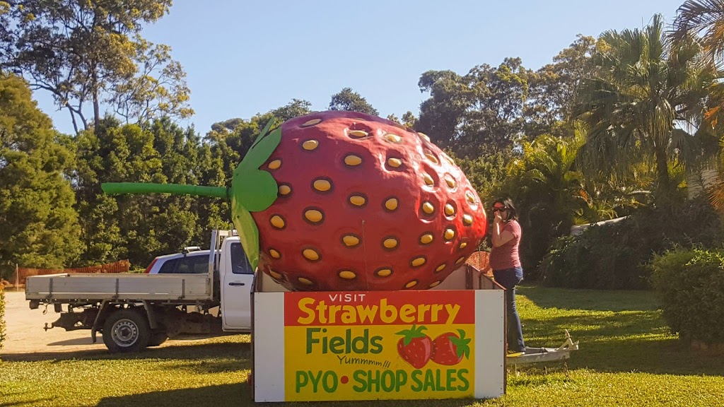 Strawberry Fields | cafe | 133 Laxton Rd, Palmview QLD 4553, Australia | 0754945146 OR +61 7 5494 5146