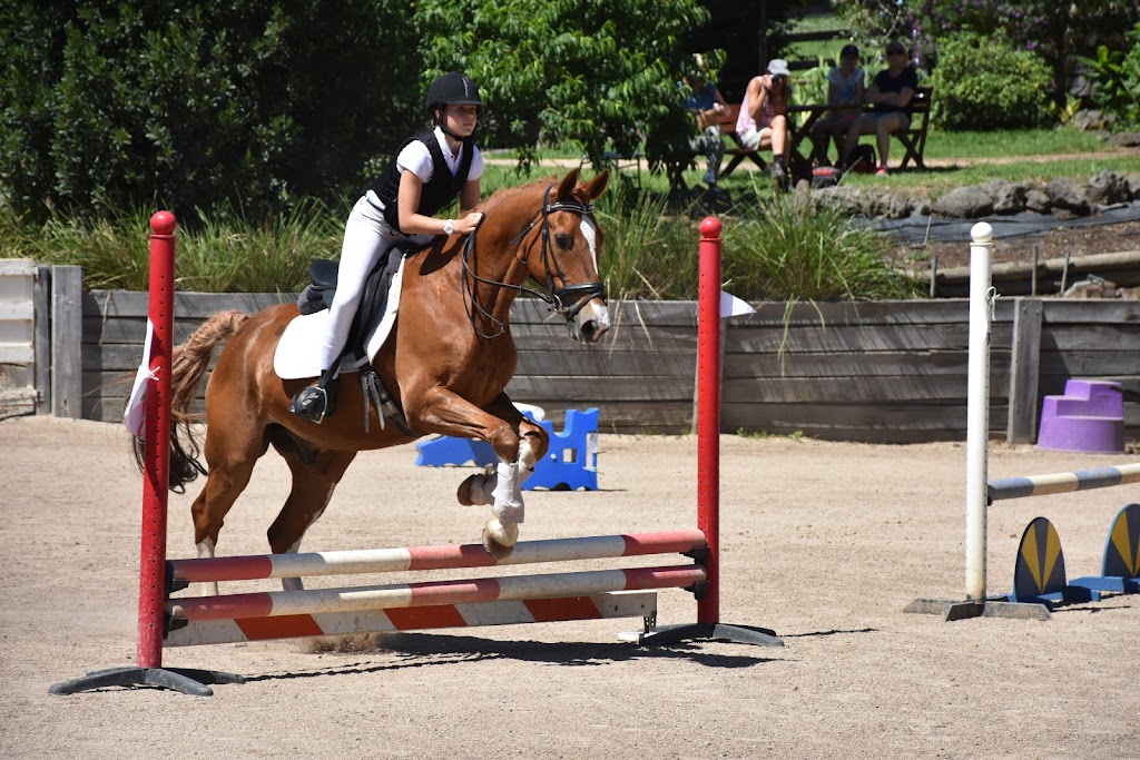 Valley Park Riding School | 86 Obriens Ln, Templestowe VIC 3106, Australia | Phone: 0475 000 088