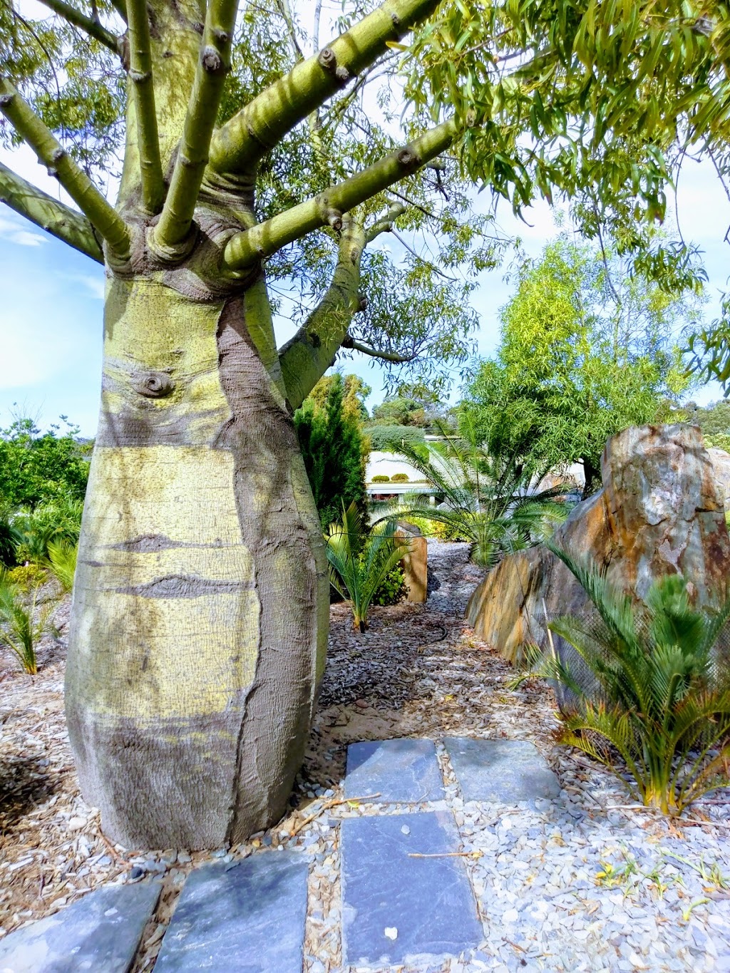 Royal Botanic Gardens Cranbourne | park | Ballarto Rd &, Botanic Dr, Cranbourne VIC 3977, Australia | 0359902200 OR +61 3 5990 2200