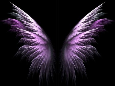 READINGS WITH TERRY | 6 Whipcrack Tce, Wauchope NSW 2446, Australia | Phone: 0408 644 113