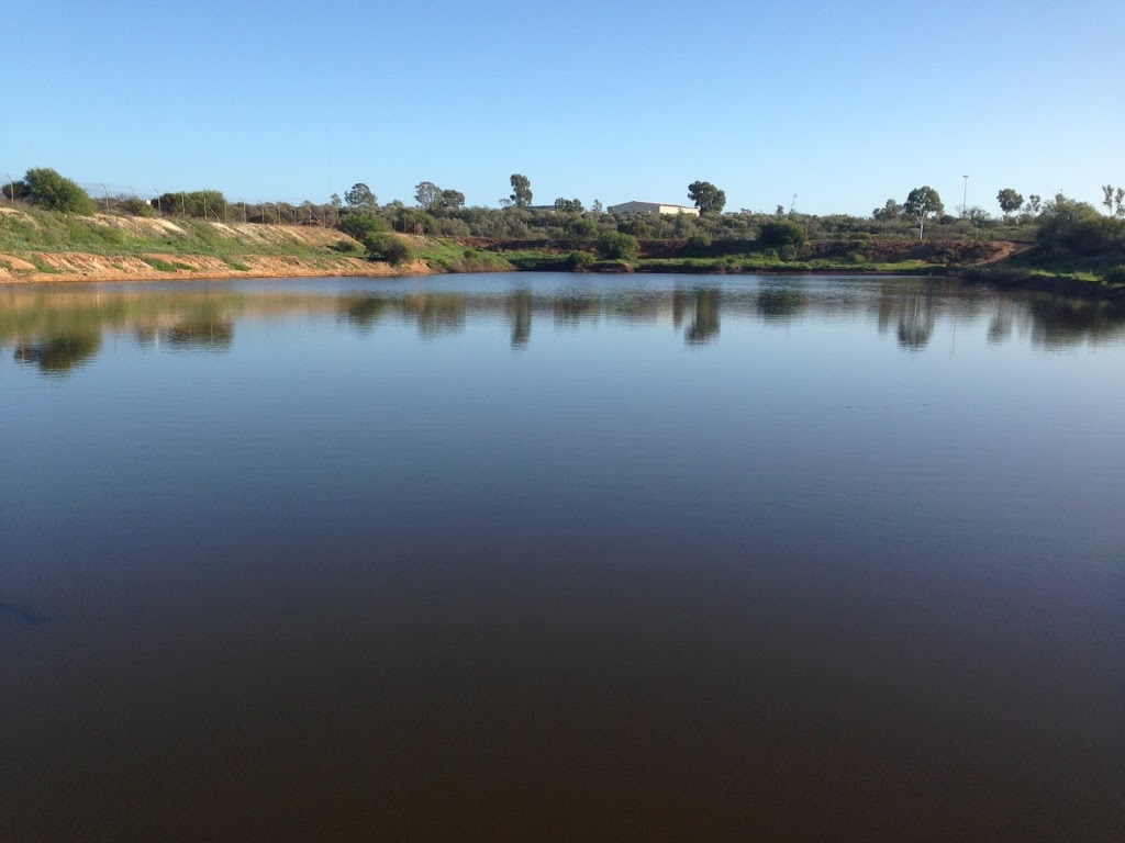 Mullewa Caravan Park | Lovers Ln, Mullewa WA 6630, Australia | Phone: (08) 9956 6643