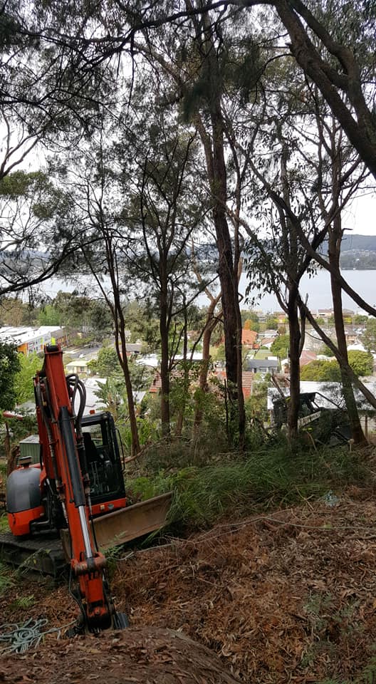 East Coast Vegetation Management Pty Ltd | Miller Rd, Wakefield NSW 2278, Australia | Phone: (02) 4005 0041