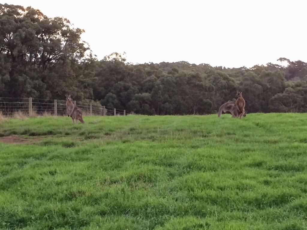 Red Hill Farm Foods | 175 Arthurs Seat Rd, Red Hill VIC 3937, Australia | Phone: 0408 131 707