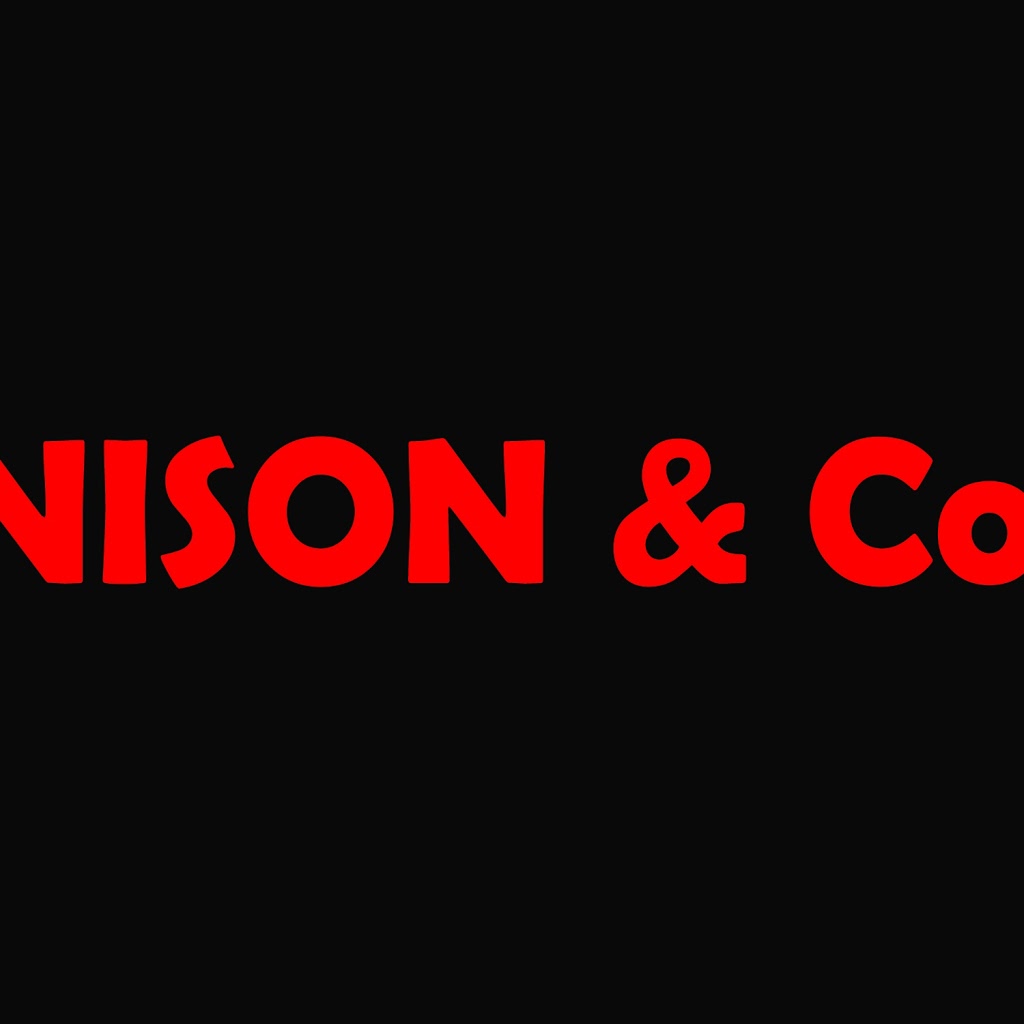 Nison & Co. Digital innovations | 30 Condamine Ave, Wyndham Vale VIC 3024, Australia | Phone: 0451 406 136