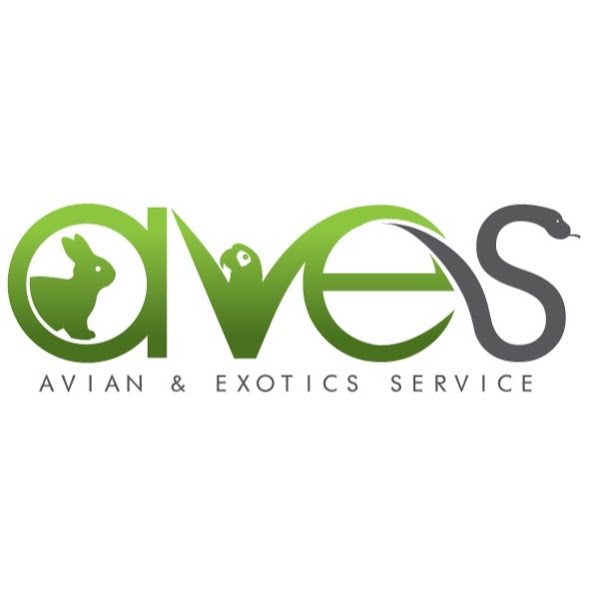 Avian and Exotics Service | veterinary care | 335 Mona Vale Rd, Terrey Hills NSW 2084, Australia | 0294522933 OR +61 2 9452 2933