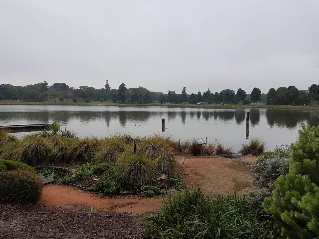 Larry Friedbergs Tai-Chi & Self Defence Sydney | The Labyrinth, Dickens Dr, Centennial Park NSW 2021, Australia | Phone: 0415 689 638