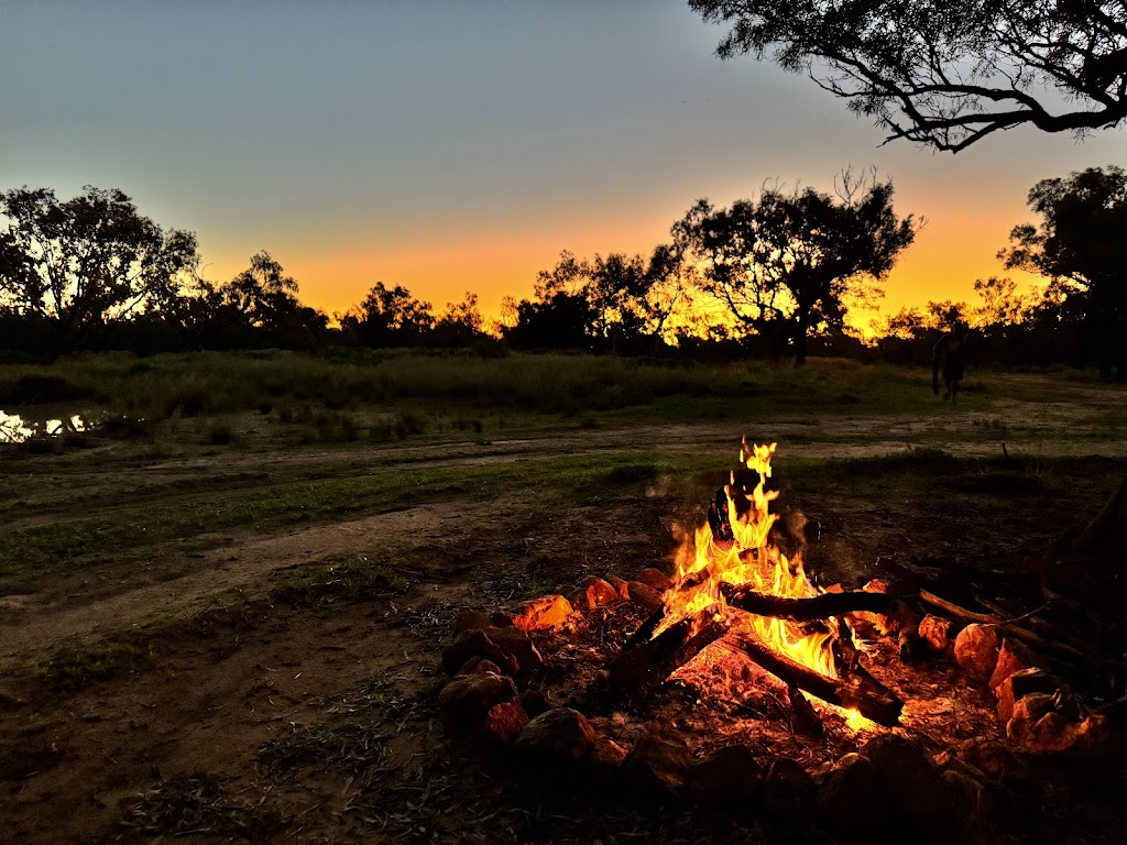 Franc Villers Station | Francvillers Station, Cunnamulla QLD 4490, Australia | Phone: 0409 897 172