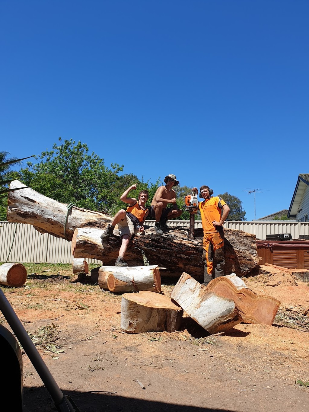 Austins Tree Contracting |  | 58 Elizabeth St, North Richmond NSW 2754, Australia | 0401871444 OR +61 401 871 444