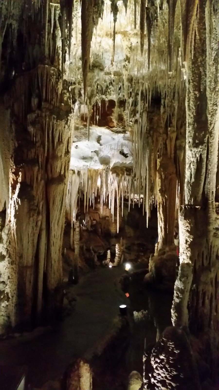 Tantanoola Caves | park | Tantanoola SA 5280, Australia