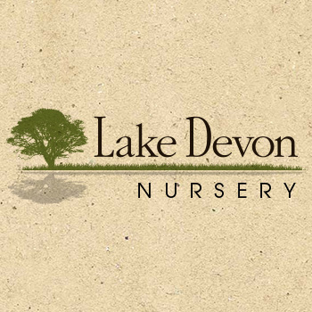 Lake Devon Nursery | 743 Tamborine Oxenford Rd, Upper Coomera QLD 4209, Australia | Phone: (07) 5573 4482