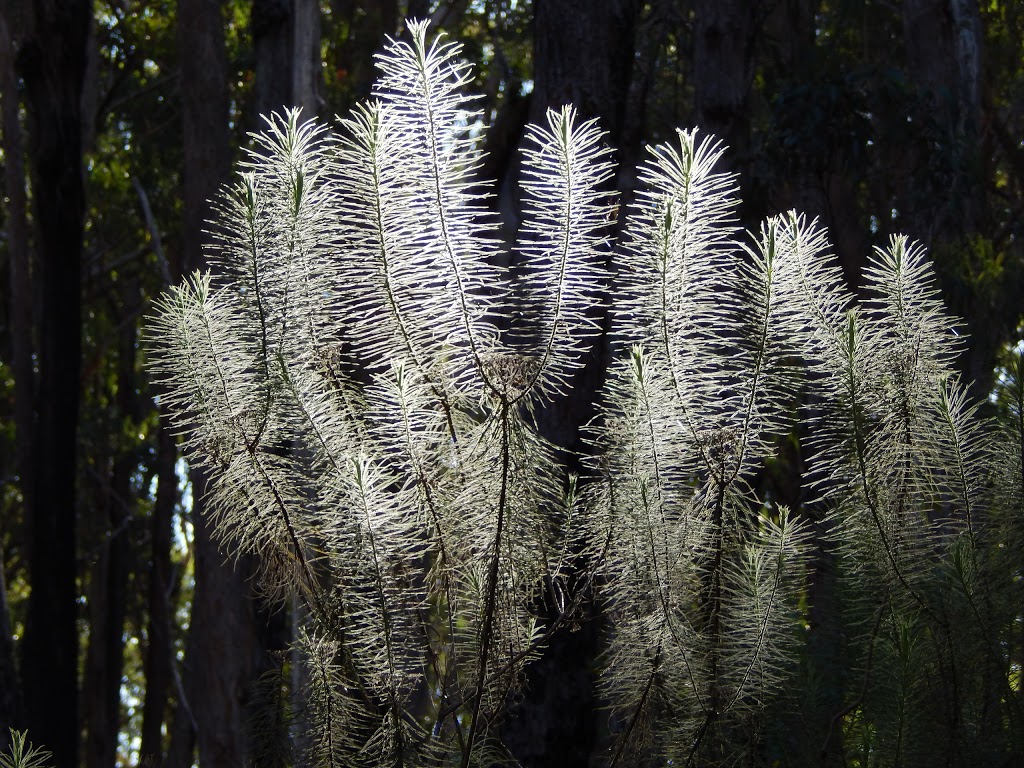 Oxley Wild Rivers National Park | Walcha NSW 2354, Australia | Phone: (02) 6777 4700