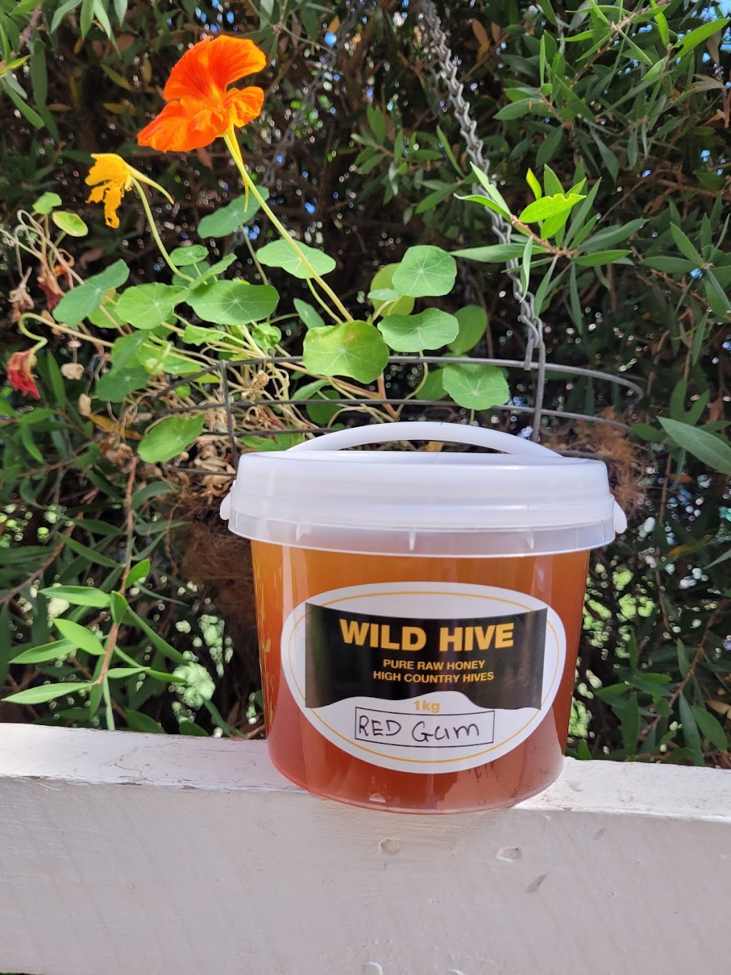 Wild Hive Honey and Hive products | 3 Finlason St, Mansfield VIC 3722, Australia | Phone: 0467 905 975
